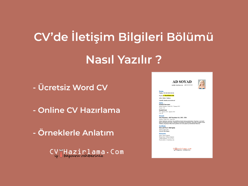 CV Örnekleri - İletişim bilgileri bölümü hazırlama rehberi